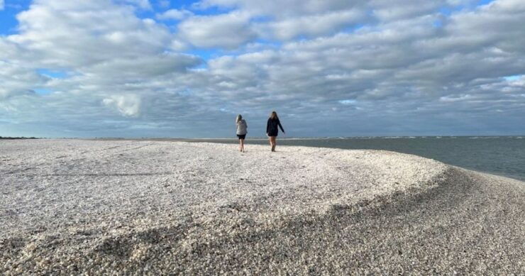 Marco Island: Barrier Island Shelling and Mangrove Tour - Activity Highlights