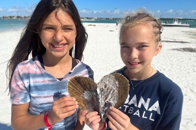 Marco Island: Barrier Island Shelling and Mangrove Tour - Tour Inclusions