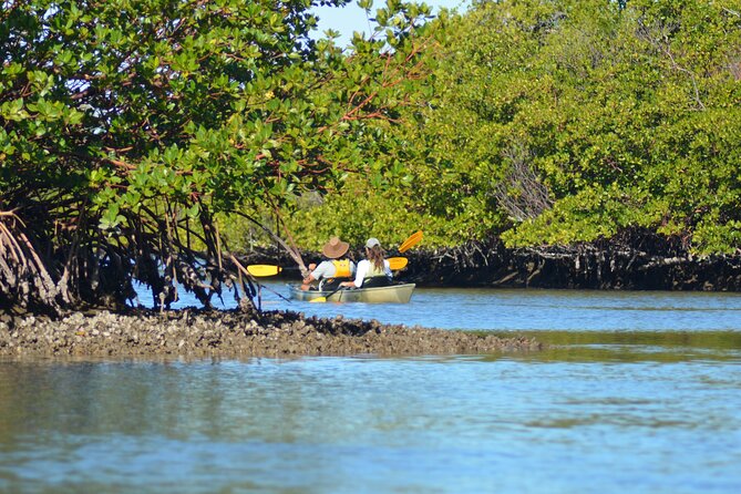 Marco Island Mangrove Tunnel and Maze Adventure Small Group Size - Tour Pricing and Information