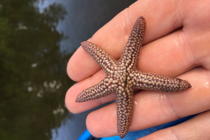 Marco Island Mangrove Tunnel and Maze Adventure Small Group Size - Tour Directions