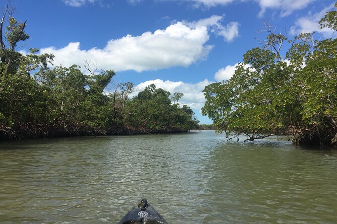 Marco Island Mangrove Tunnel and Maze Adventure Small Group Size - Tips for a Memorable Experience