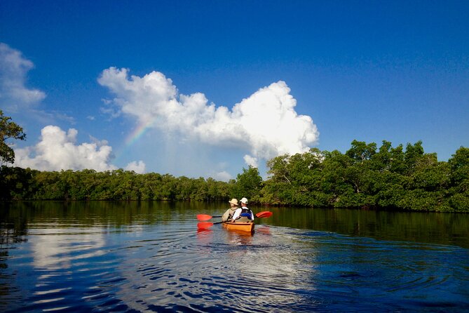 Marco Island Mangrove Tunnel and Maze Adventure Small Group Size - Common Questions