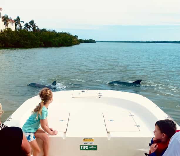 Marco Island: Private Shelling & Dolphin Excursion - An Overview of the Experience