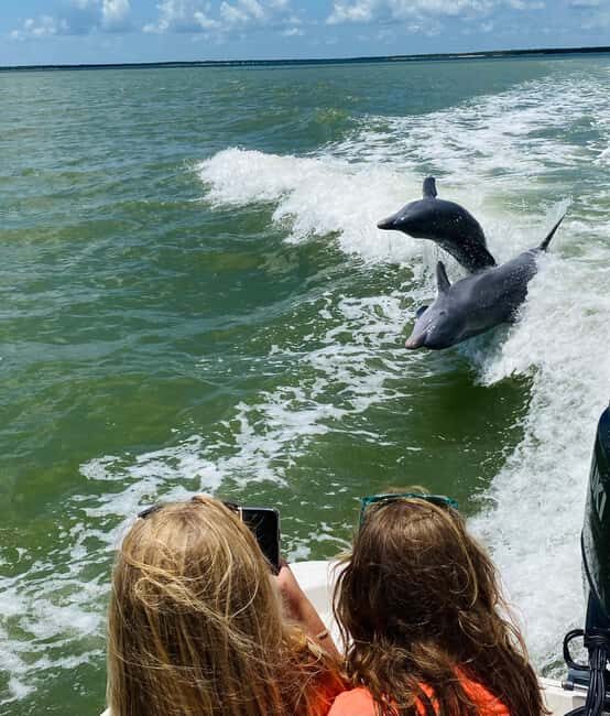 Marco Island: Private Shelling & Dolphin Excursion - Who Would Love This Tour?