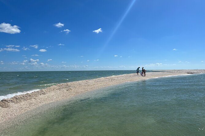 Marco Island Private Tubing, Dolphin Watching and Shelling Tour - Who Should Book This Tour?