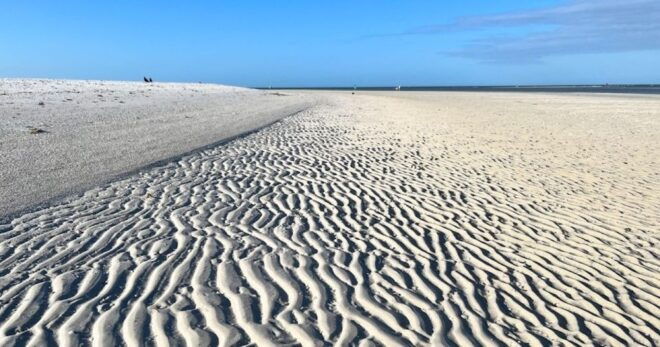 Marco Island: Sand Bar Shelling Guided Tour - Inclusions and Amenities on the Tour