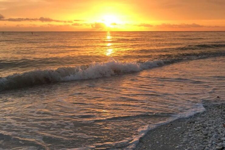 Marco Island: Sunset Boat Tour - About the Sunset Boat Tour