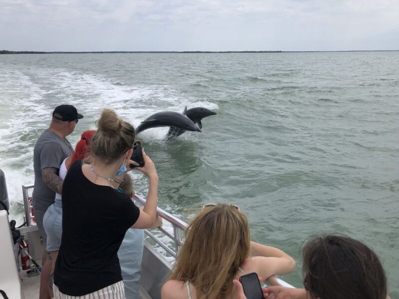 Marco Island: Ten Thousand Islands Shelling & Dolphin Tour - Good To Know