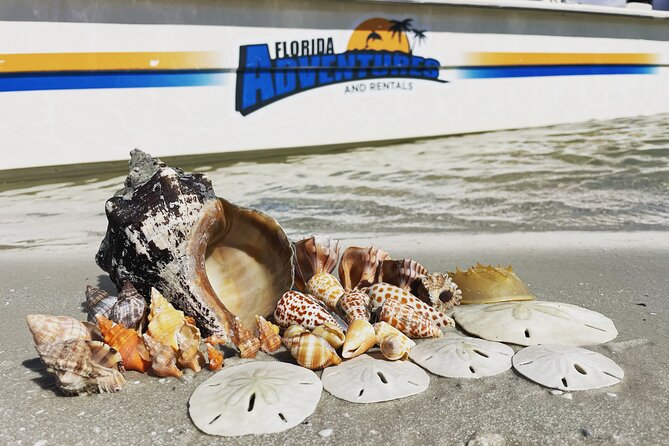 Marco Island Wildlife Sightseeing and Shelling Tour - Traveler Photos and Reviews