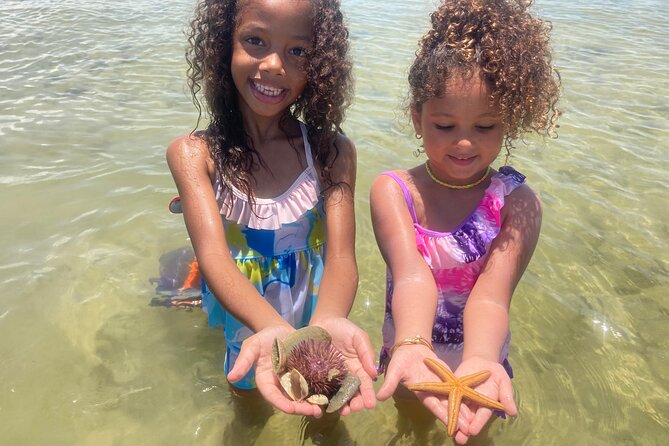 Marco Island Wildlife Sightseeing and Shelling Tour - Customer Testimonials
