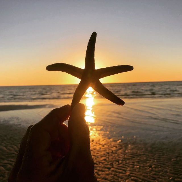 Marco Island:Sunset Boat Tour With Bottle of Champagne - Experience Highlights