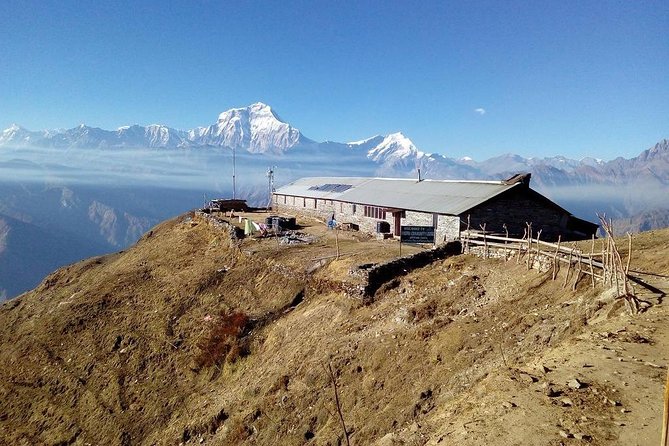 Mardi Himal and Khopra Ridge Private Guided Trek - Transportation and Pickup Details