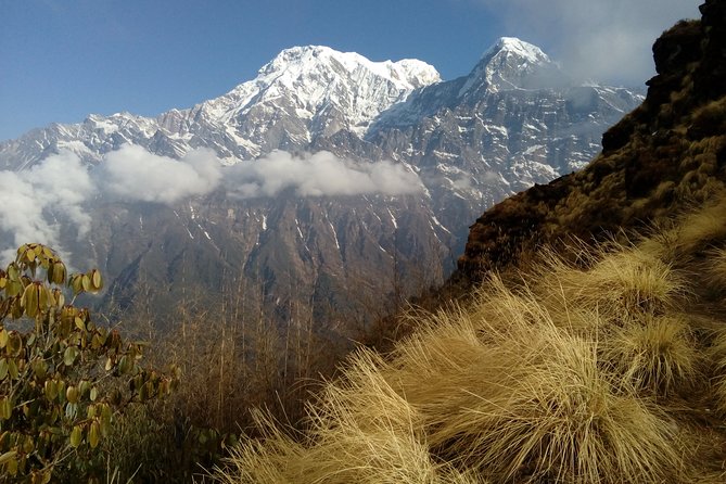 Mardi Himal Base Camp Trek - Day 2: Low Camp Trek