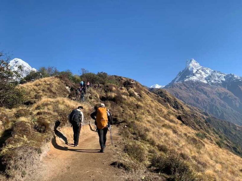 Mardi Himal Base Camp Trek 7 Days - Transportation and Logistics