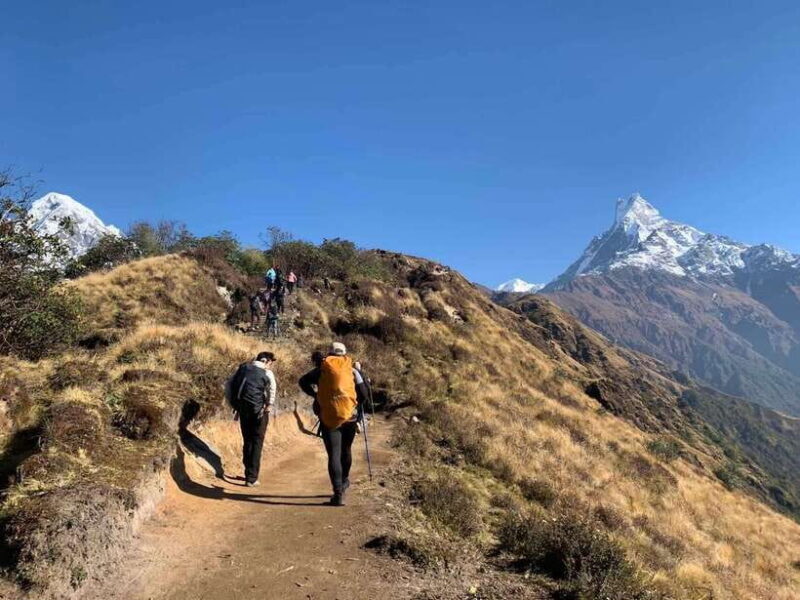 Mardi Himal Base Camp Trek 7 Days - What You’ll Love About the Trek