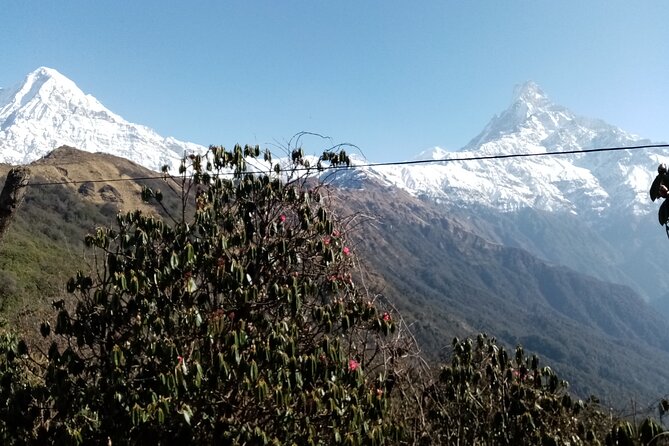 Mardi Himal Newly Discovered Trekking From Pokhara Nepal - Itinerary and Activities