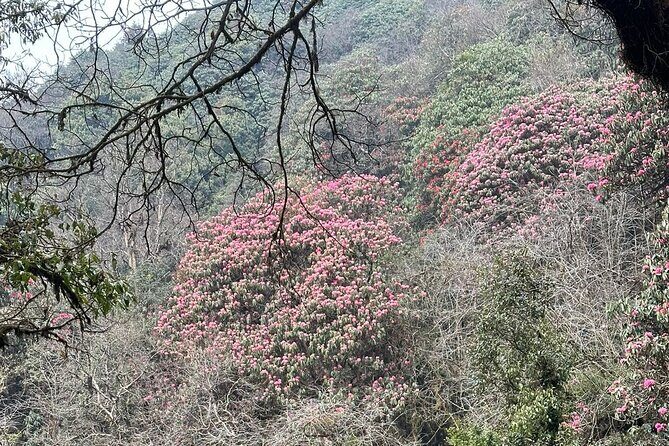 Mardi Himal Trek - 12 Days - Who Is This Trek Perfect For?