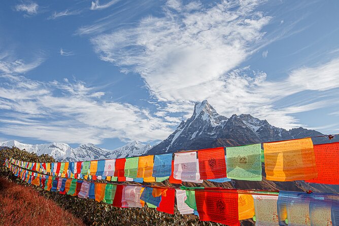 Mardi Himal Trek - Terms & Conditions