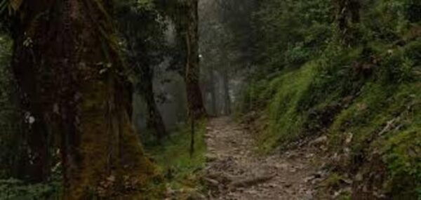 Mardi Himal Trek - Booking Process