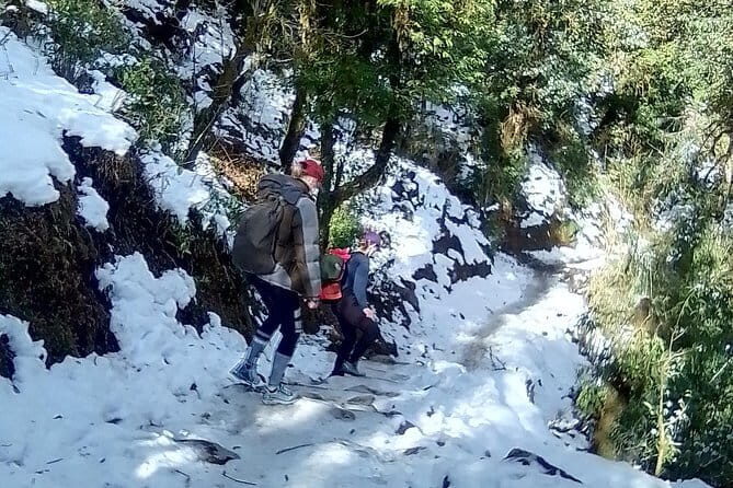 Mardi Himal Trek - Why the Trek Is Highly Praised