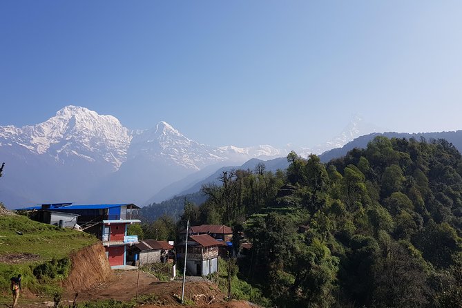Mardi Himal Trek - Trek Difficulty Level