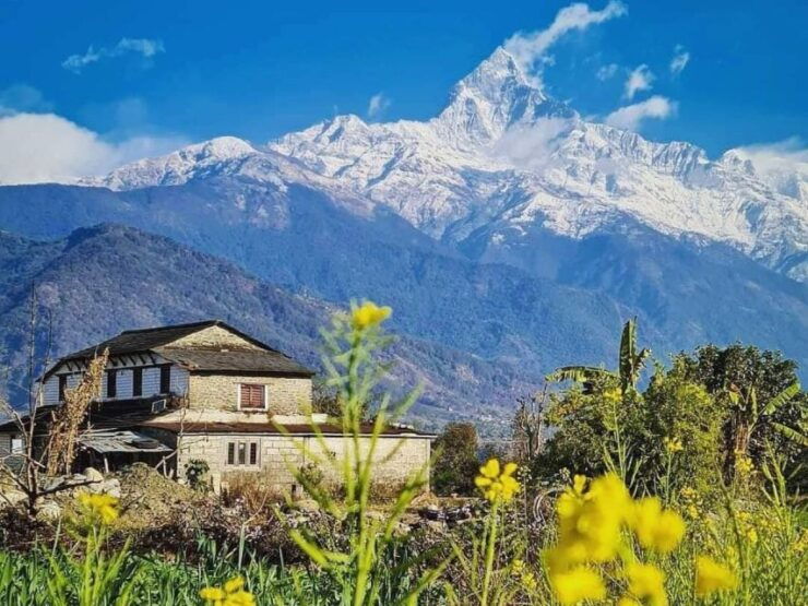 Mardi Himal Trek - 4 Days From Pokhara - Pickup and Transportation