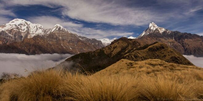 Mardi Himal Trek: 5 Days Mardi Trek From Pokhara - Description