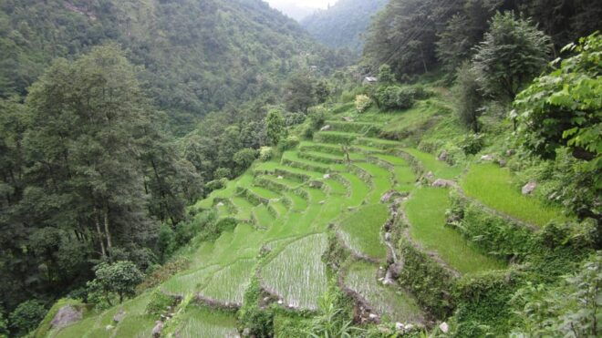 Mardi Himal Trek - 7 Days - Important Information