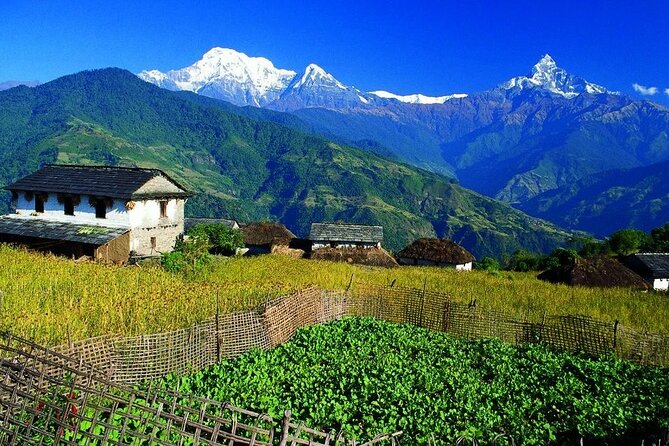 Mardi Himal Trek - Trek Overview