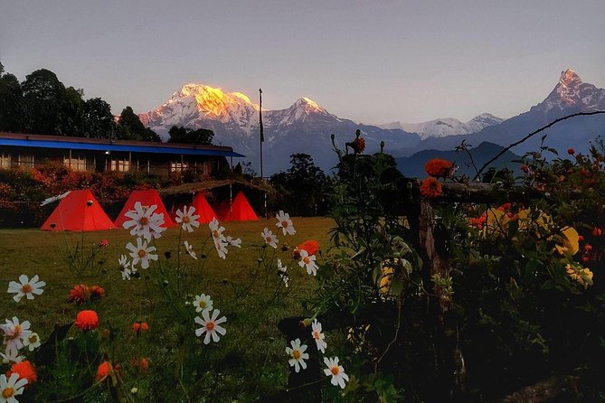 Mardi Himal Trek (A Short 8 Days Trek From Kathmandu) - The Sum Up