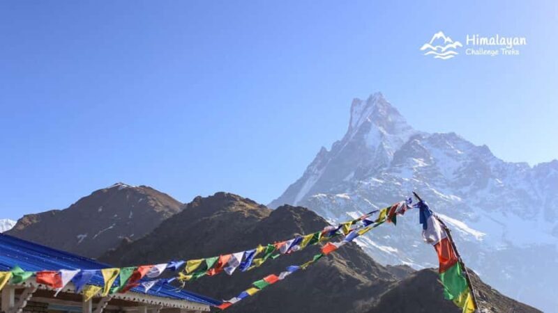Mardi Himal Trek in 7 Days where Solitude Meets the Peak - An Honest Look at the Mardi Himal Trek