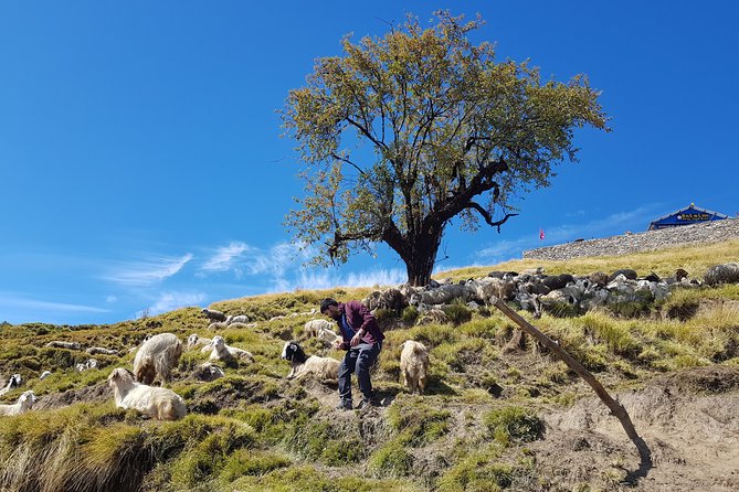 Mardi Himal Trekking - Accommodation and Facilities