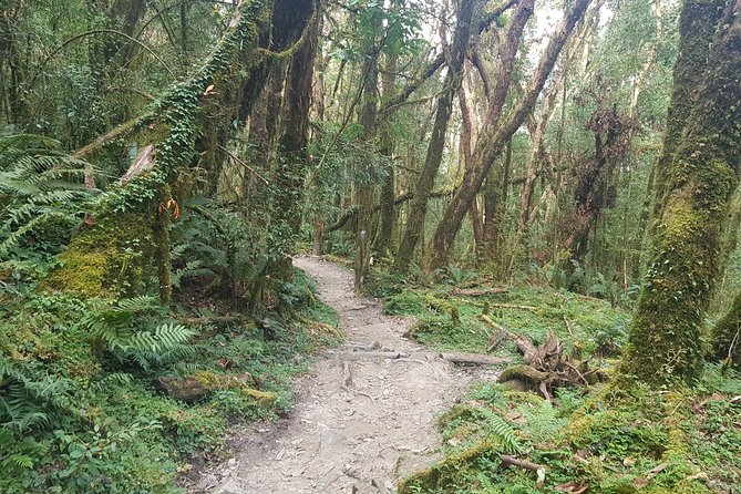 Mardi Himal Trekking - Safety Tips and Precautions