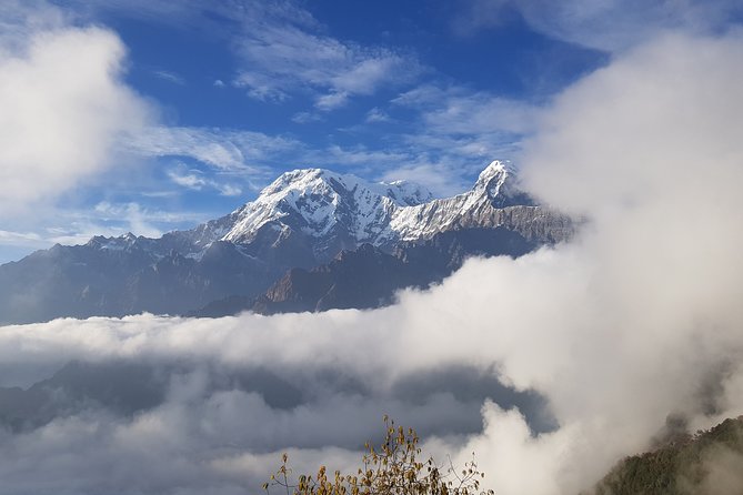 Mardi Himal Trekking - The Sum Up