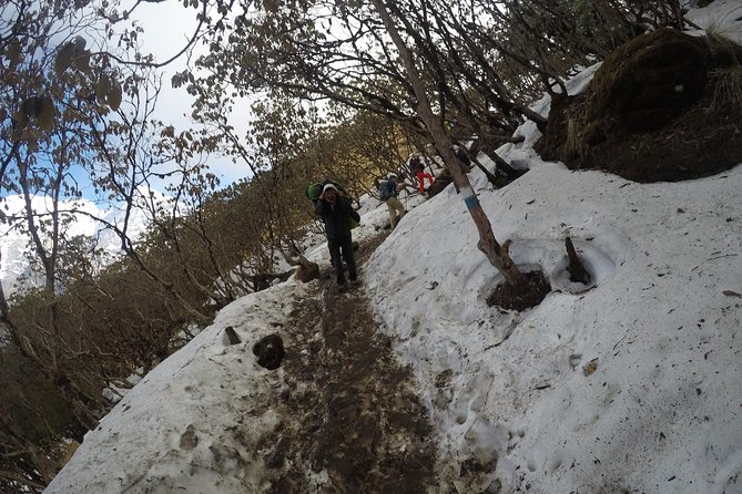 Mardi Himal Trekking - Safety Tips