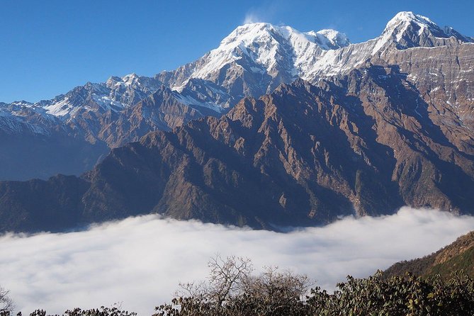 Mardi Himal Trekking From Kathmandu - Additional Information and Support