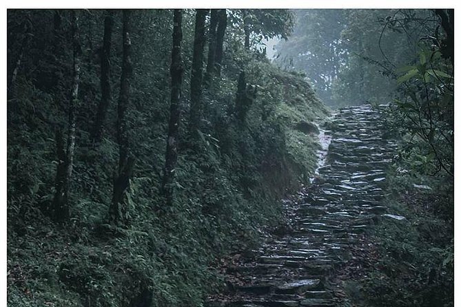 Mardi Himal Treks With Kathmandu Highlights - Trekking Routes and Difficulty Levels