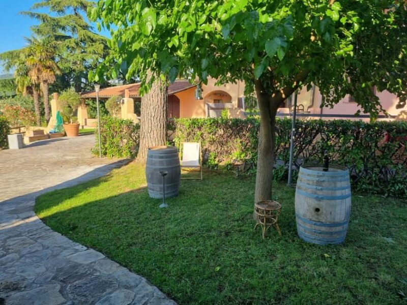 Maremma: Oil tasting with an aperitif of typical products - A Close Look at the Experience