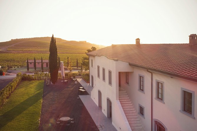 Maremma Winery Tour and Tasting  - Siena - Hidden Gem in Tuscanys Maremma Countryside