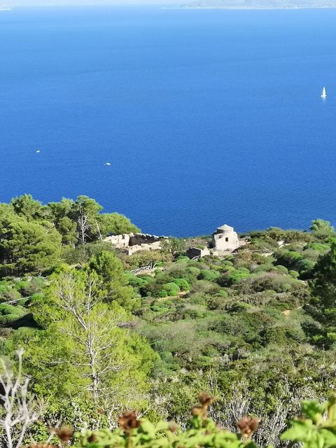 Marettimo Hiking and Nice Boat Tour to Visit Sea Caves - Experiencing Marettimo