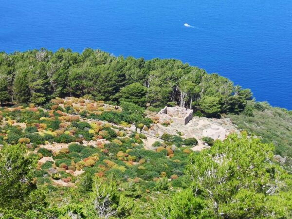 Marettimo Hiking and Nice Boat Tour to Visit Sea Caves - Frequently Asked Questions