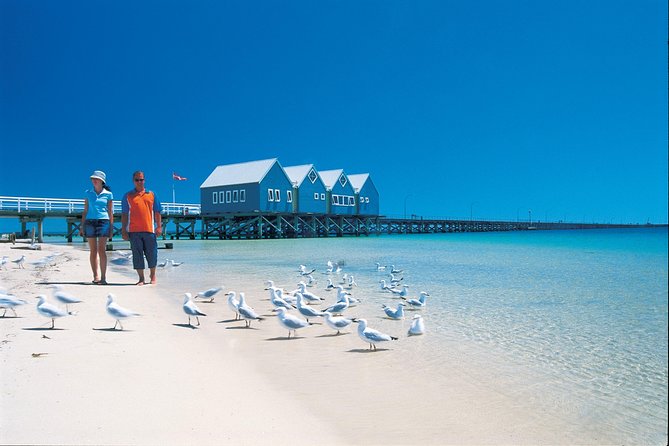 Margaret River and Geographe Bay Region Day Trip From Perth - Surfing Beaches in Margaret River
