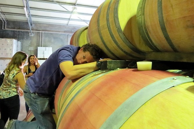 Margaret River Beer & Wine Adventure (departs Margaret River) - What to Expect on the Tour