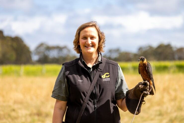 Margaret River: Birds of Prey Encounter and Forest Walk - Experience Highlights
