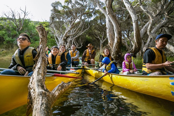 Margaret River Canoe Tour Including Lunch - Tour Experience