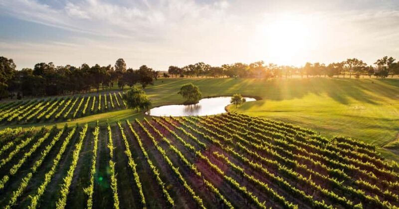 Margaret River, Chocolate, Wine & Coast Day Trip from Perth - Good To Know