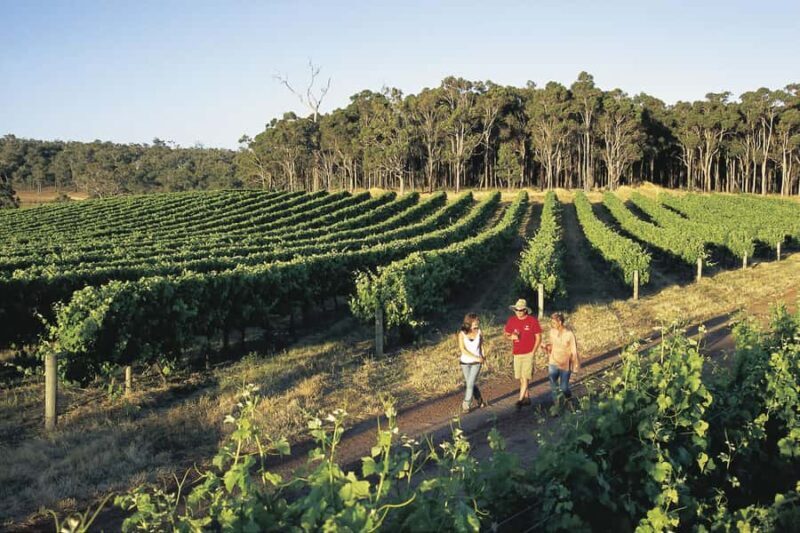 Margaret River, Chocolate, Wine & Coast Day Trip from Perth - A Deep Dive into the Tour Experience