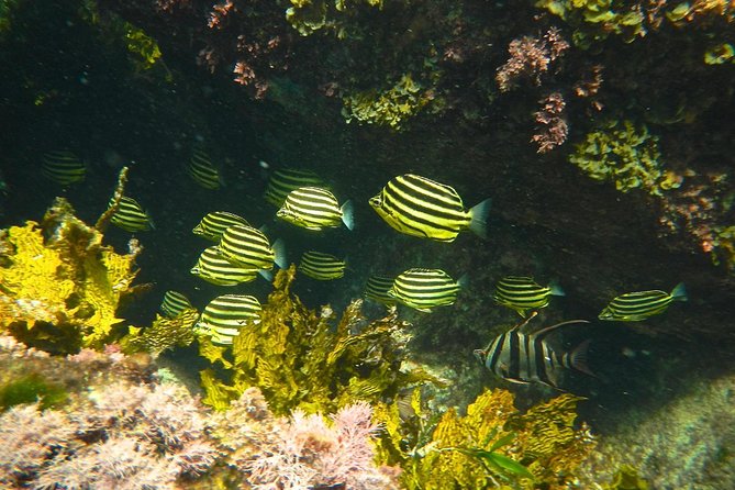 Margaret River Coastal and Wildlife Eco Trip From Busselton or Dunsborough - Tour Highlights