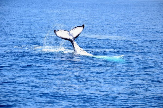 Margaret River Coastal and Wildlife Eco Trip From Busselton or Dunsborough - Scenic Views and Landmarks