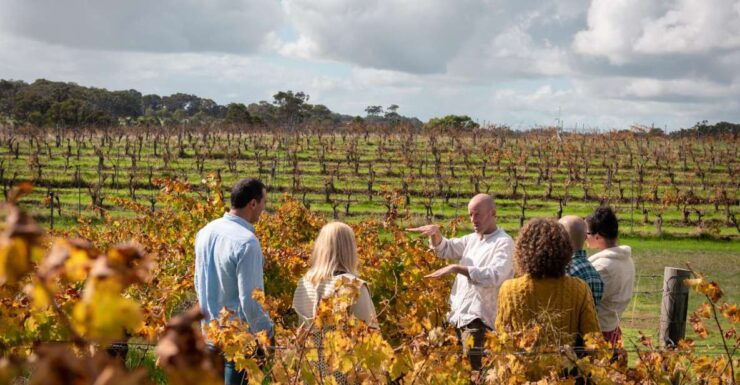 Margaret River: Food and Wine Tour With Tastings and Lunch - Booking Details